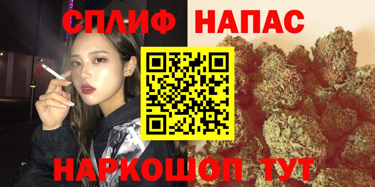 МАРИХУАНА MAZAR  Конопля марихуана  Прохладный  Вход с VPN 